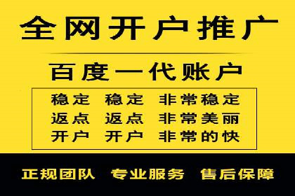 百度平台推广：成功案例解析与效果分析
